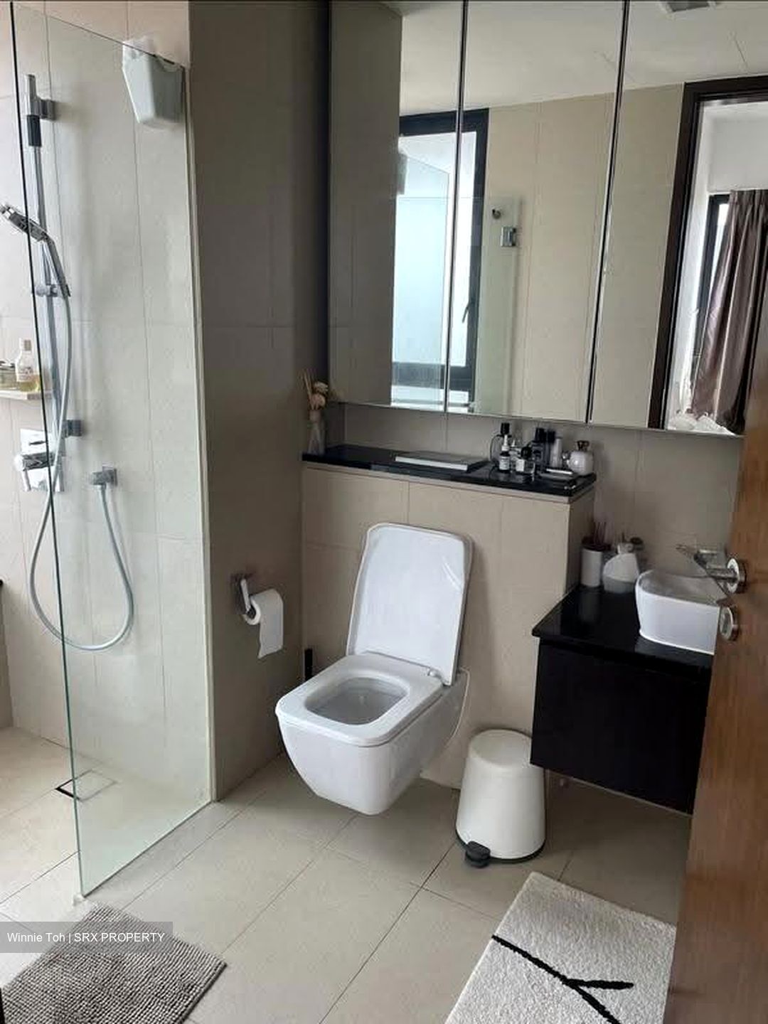 Spottiswoode Residences (D2), Condominium #616502151